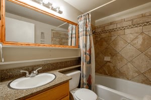Ensuite full main bath