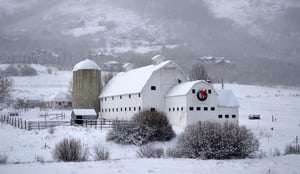 Historic McPolin barn in the winter with a huge holiday wreath on the front.