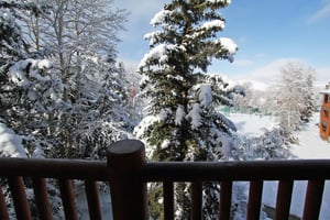 The private patio provides views of the evergreen trees
