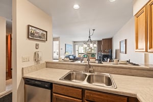 Snow Flower Condominium 147s kitchen sink with dishwasher.
