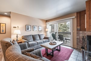 Premier Snow Flower Condominium 107s living room with sleeper sofa.