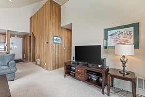 Premier Snow Flower Condominium 130s living room flat screen TV.