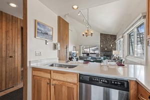 Premier Snow Flower Condominium 130s kitchen sink and dishwasher.