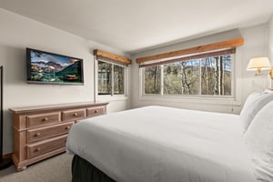 The main suite, complete with kingsize bed and forest views through large windows.