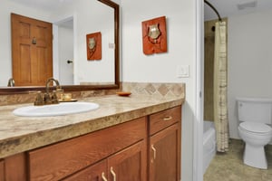 The en suite bathroom features a single sink vanity, wood cabinet, and a separate water closet.