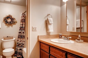 Park Station 122s bathroom has a one sink vanity, wood cabinets, and bathtubshower combination.