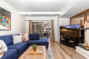 Park Station 133s living room has sliding glass doors leading to a private patio and a large flat screen TV.