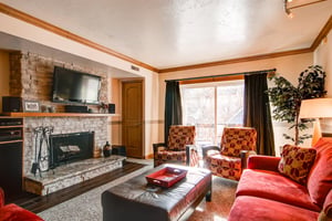 Park Station 139 has a living room with red suede couches, wood burning fireplace, and TV..