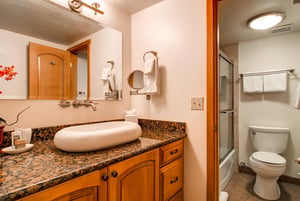 The en suite bathroom has a single sink vanity and separate water closet.