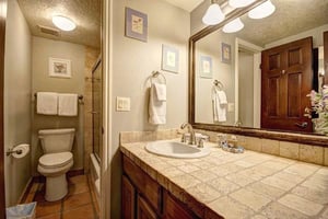 The en suite bathroom has a single sink vanity and separate water closet.