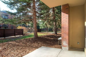 Private patio opens to the courtyard with conifers, the local moose love to wander by