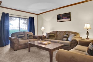 Park Station 214 has a living room with large sliding glass doors allowing plenty of natural light and comfortable couches.