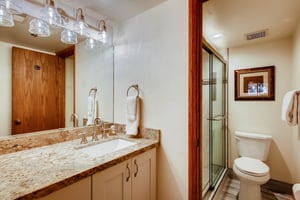 The en suite bathroom has a single sink vanity and separate water closet.
