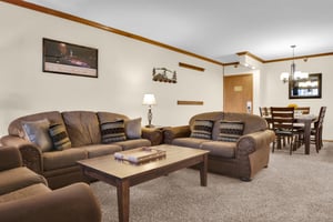 Park Station 214s living room is open to the dining room and the entry way.
