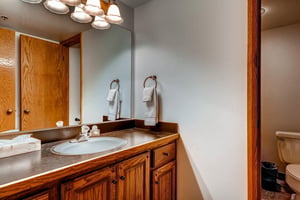 The en suite bathroom has a single sink vanity and separate water closest.