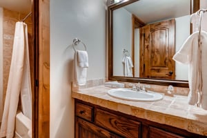 The en suite bathroom has a single sink vanity and separate water closet.