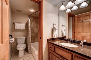 The en suite bathroom has a single sink vanity and separate water closet.