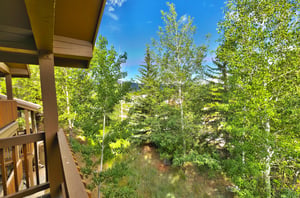 Mountain escape surrounded by aspen trees, firs, and pine trees