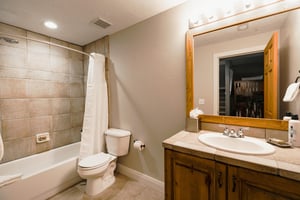 Full bathroom in the den with showertub combo and single vanity