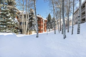 Winter Wonderland or Plenty of open space for making snowmen or an impromptu snowball fight