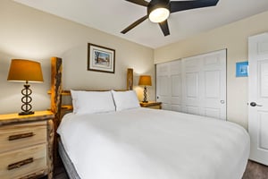 The bedroom with a queen bed and large closet.