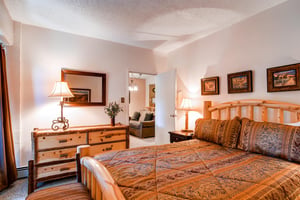 The bedroom with a queen bed and TV.