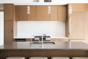 Fully equipped modern kitchen, dune quartz countertops, wooden cabinetry, gas range, high end appliances.