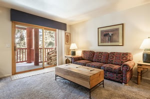 Private patio off the living room