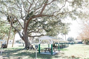 19662 Memorial Park