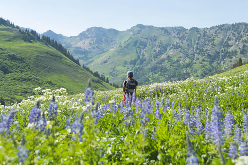 8124703 Hiking In Park City, Utah