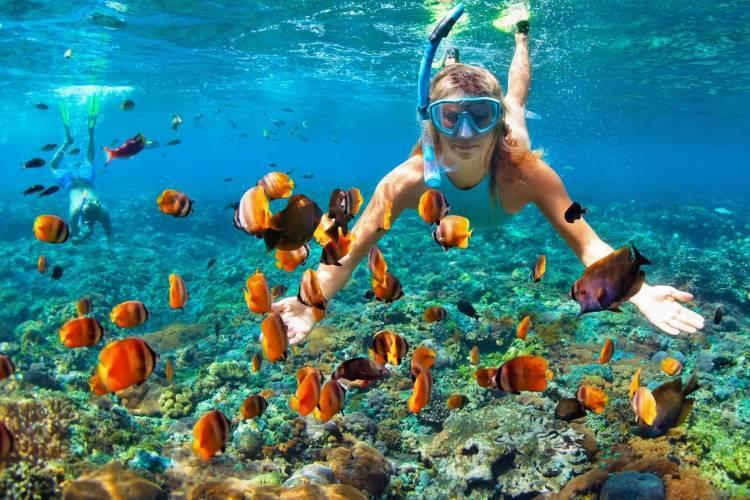 1642264 Destin Snorkel