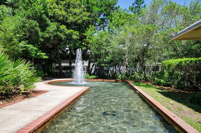 Beautiful Water Features