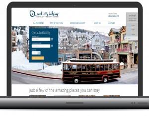 websitedesign300x234