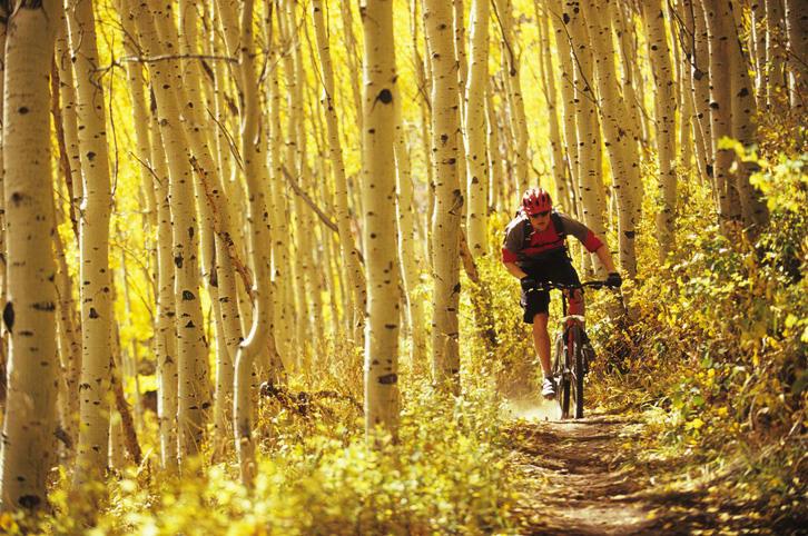 Mountain biking in Park City, Utah  Scott MarkewitzGetty Images