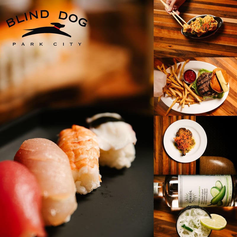 blind dog blind dog