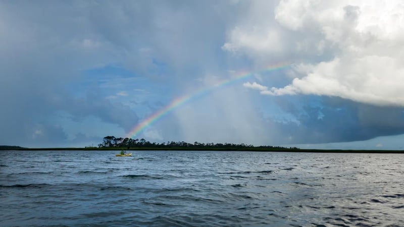 31361 Shutterstock_1308017137