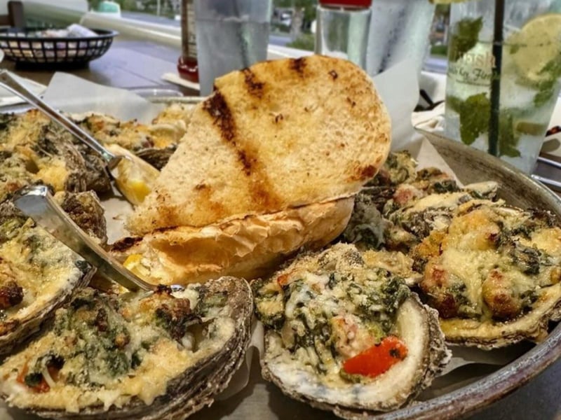 Oysters at the Jellyfish Restaurant and Bar