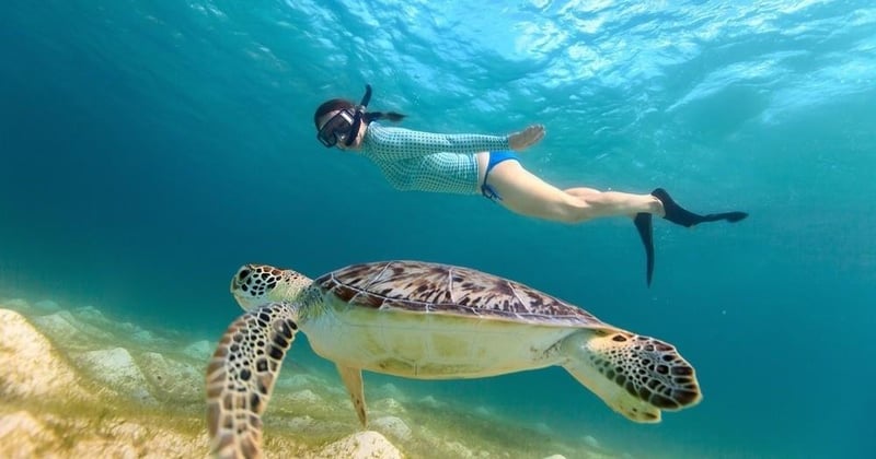 snorkeling in Anna Maria Island