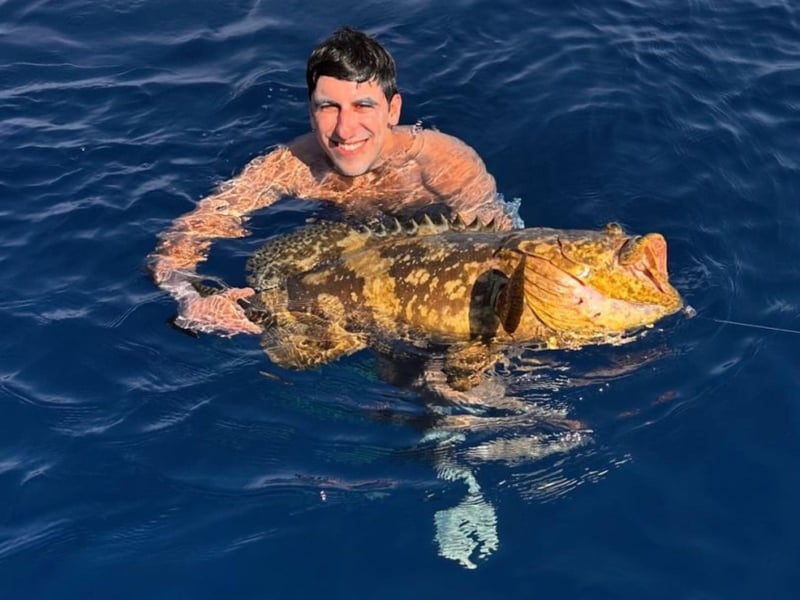 Explore the waters off the coast of Anna Maria Island, Florida