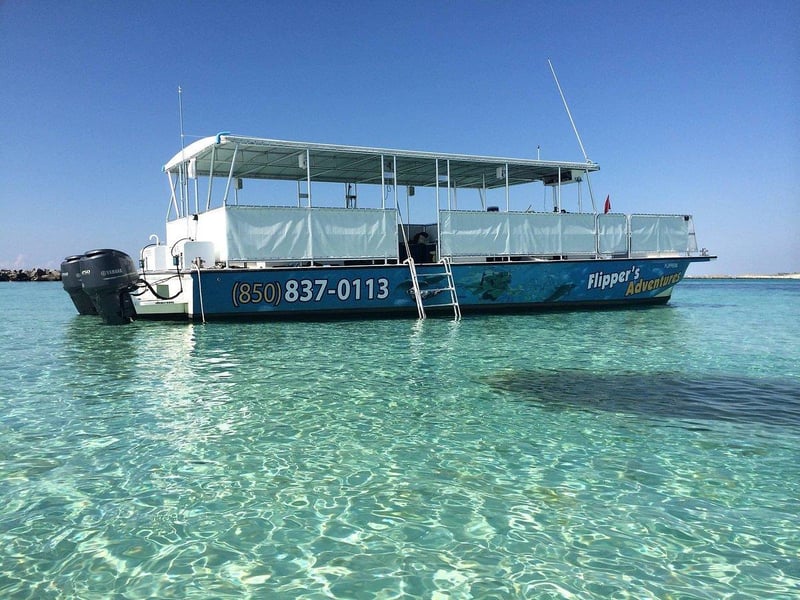 1273647 Flippers Snorkeling In Destin, Fl