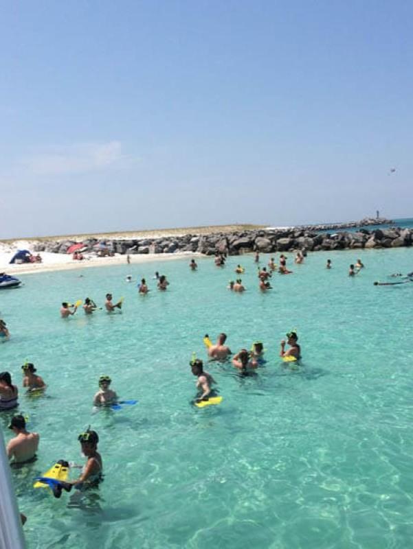 snorkelers from Flippers Adventures