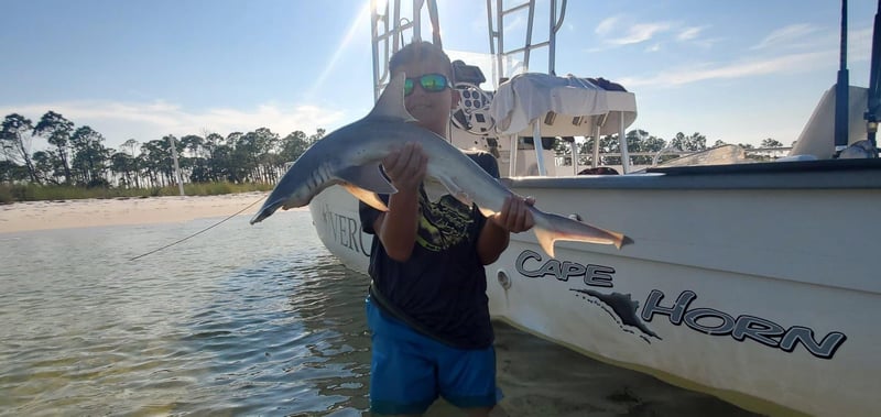 Young angler standing in shallow water beside a boat holding a small shark during a shark fishing trip on the Emerald Coast.