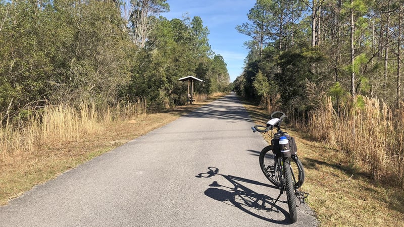 Paved biking trail through forest on Blackwater Heritage Trail Florida