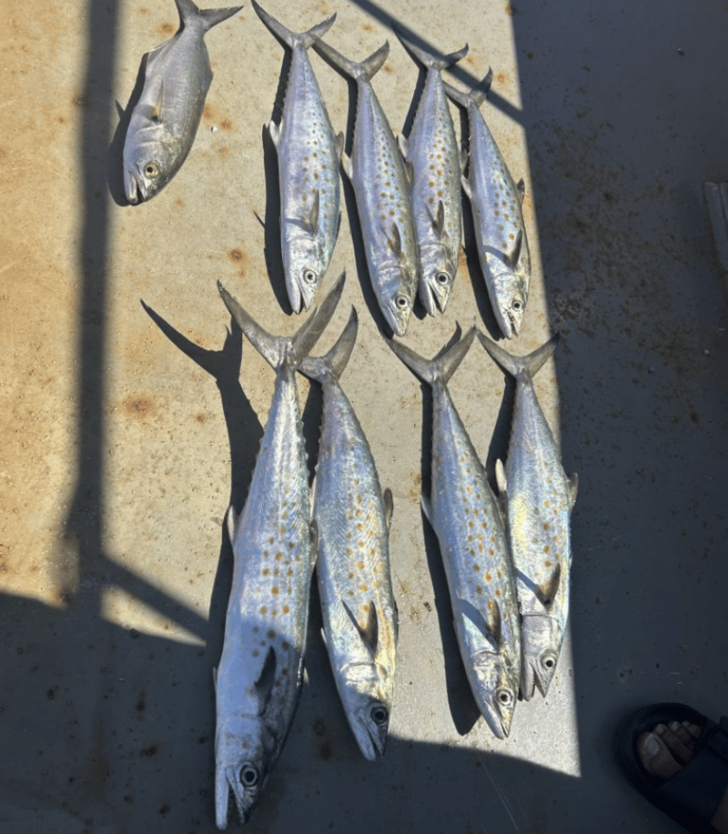 Enjoy fishing for a variety of species