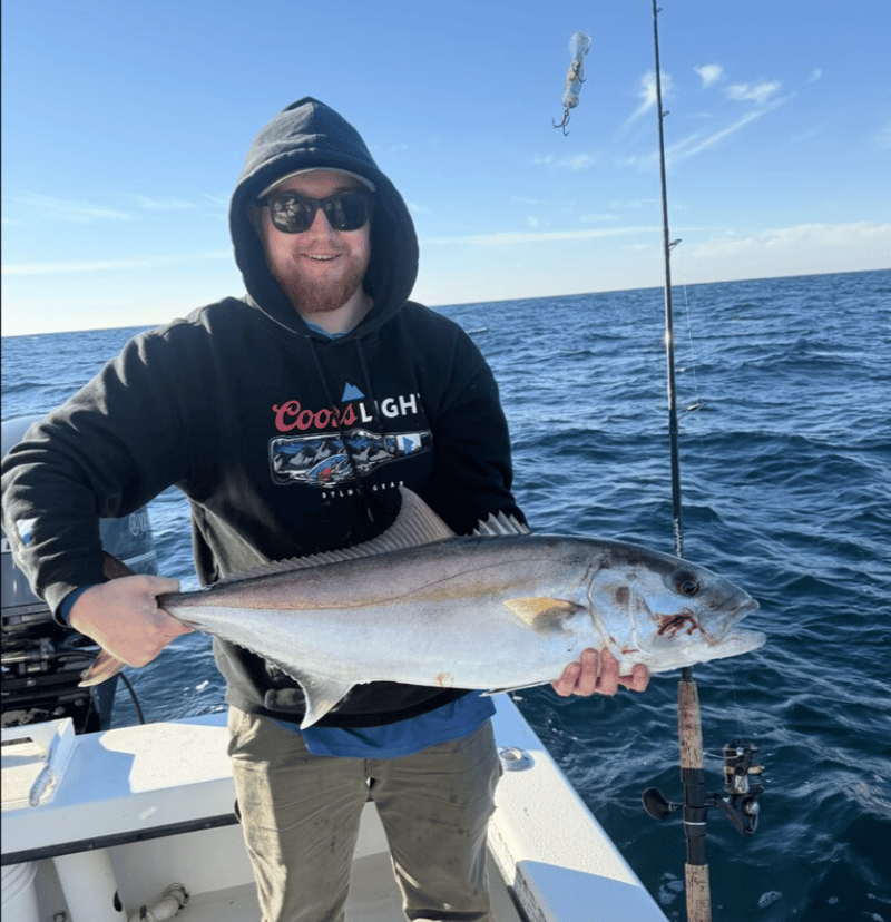 Stunning fish with stunning ocean views