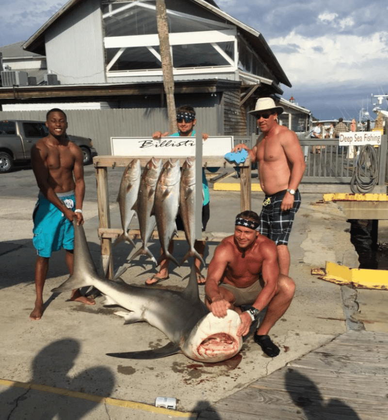 Various species to catch