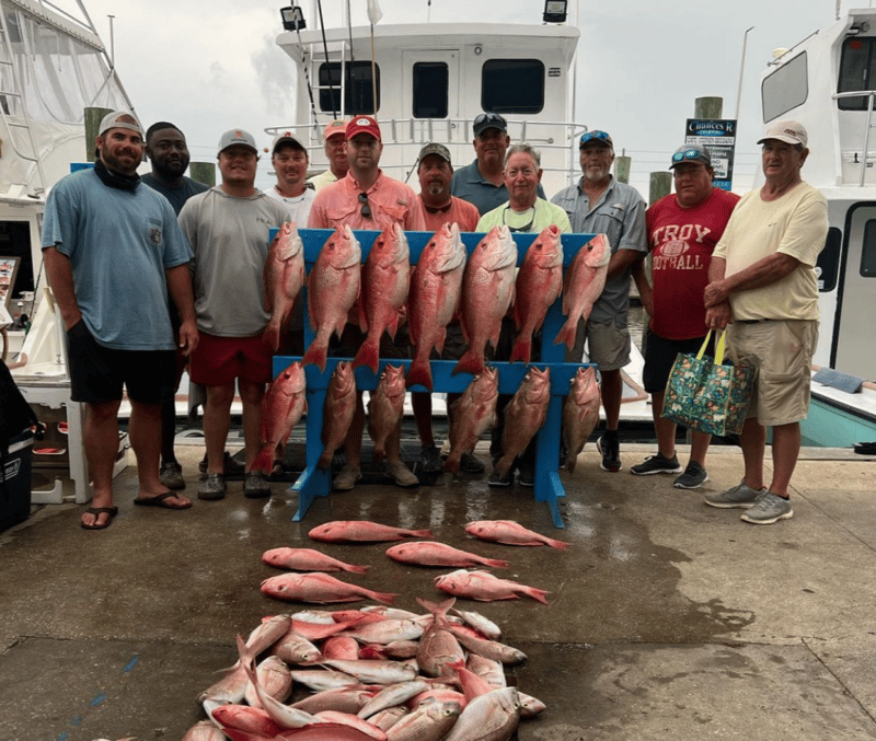 Perfect charter for large groups
