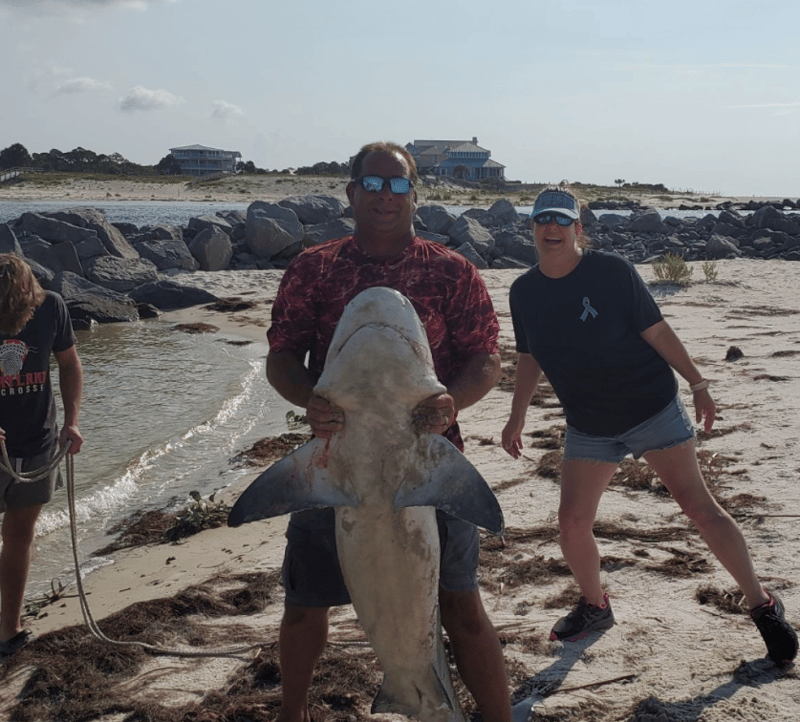 Dream On Fishing Charters