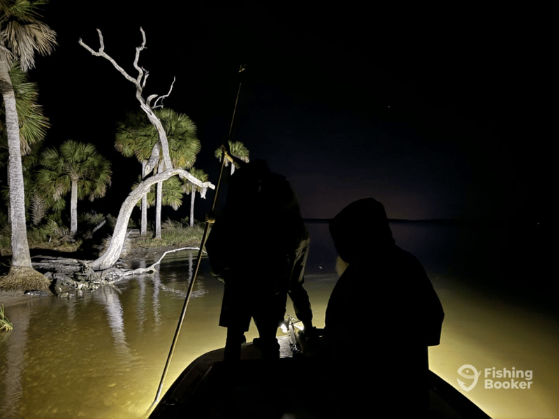 Nighttime shark fishing trips available with Captain John