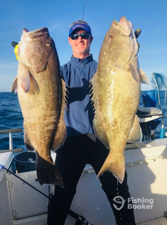 2 Shea Charters